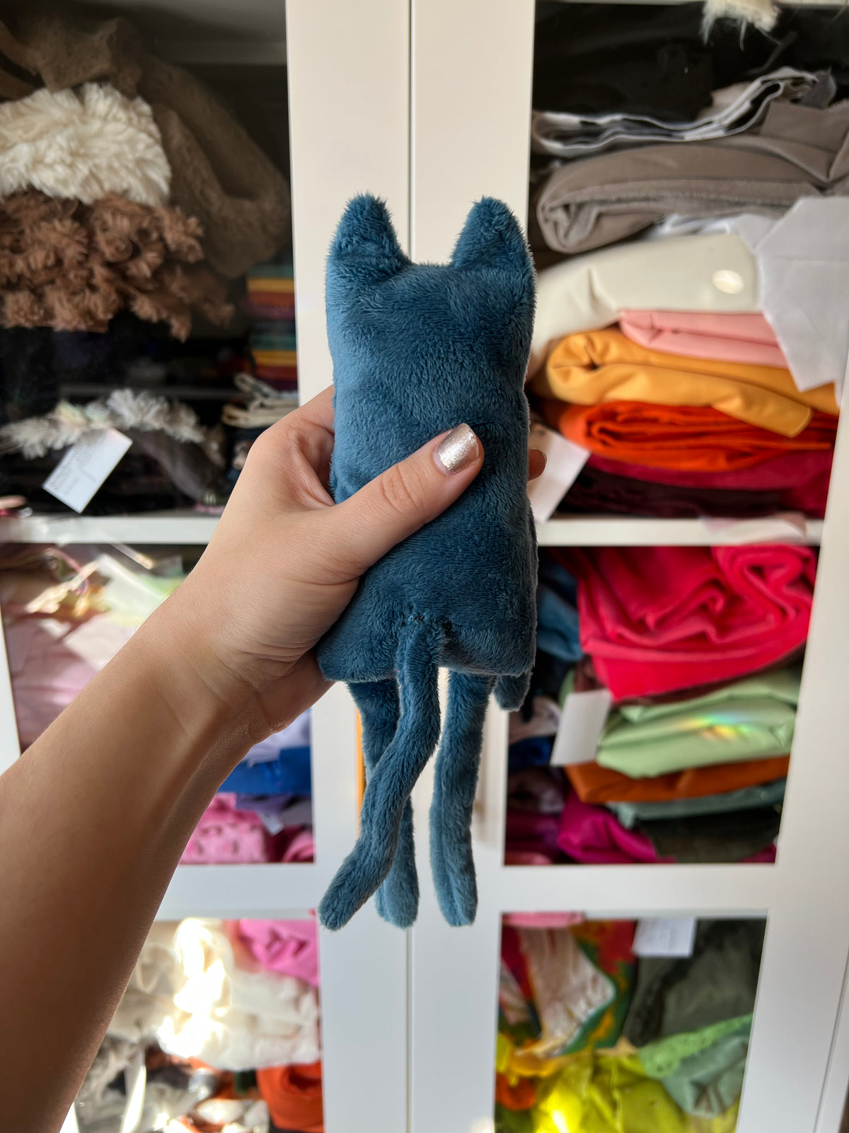 Blue Kitty Long Legs