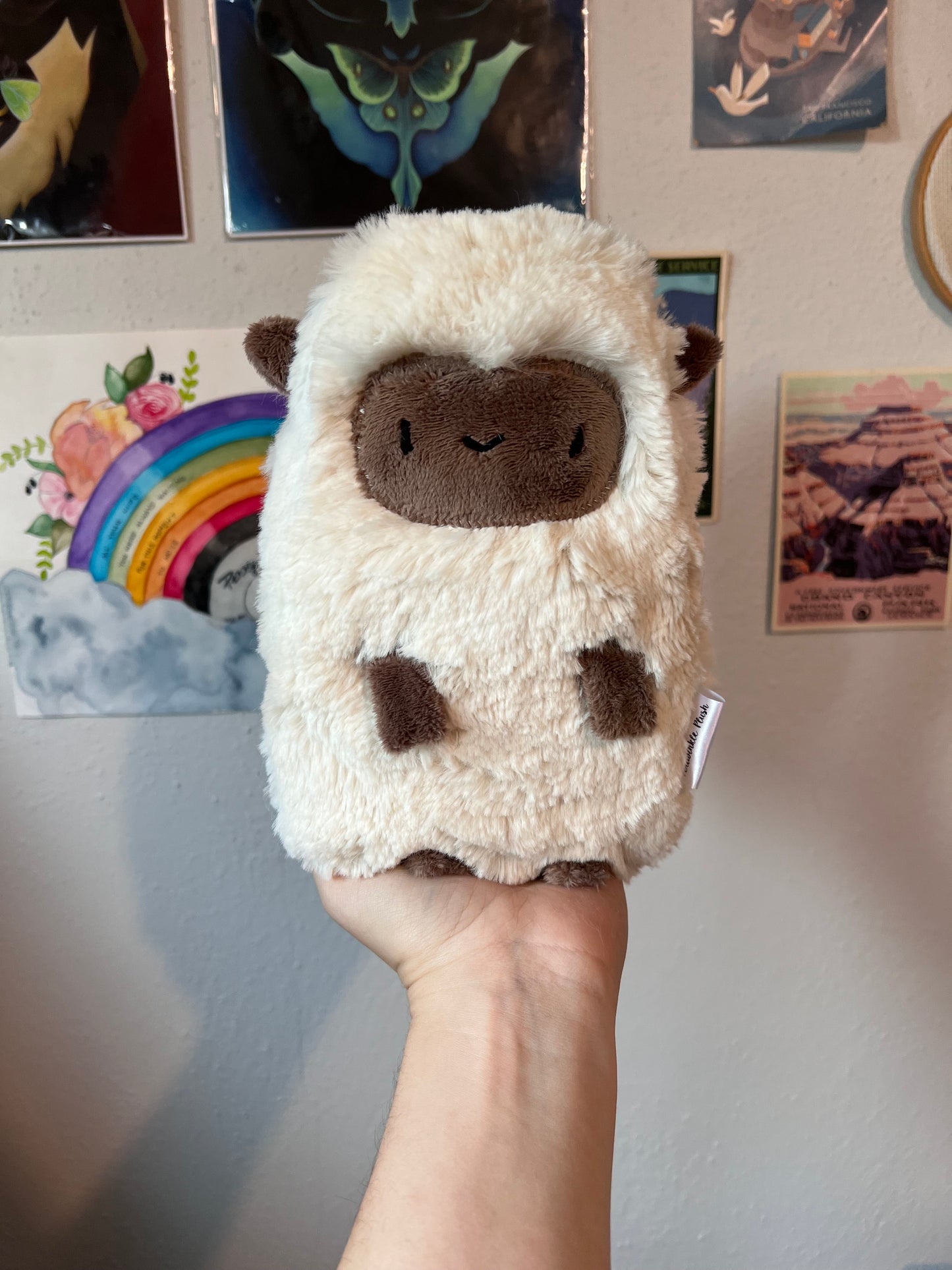 Sandra Sheepie