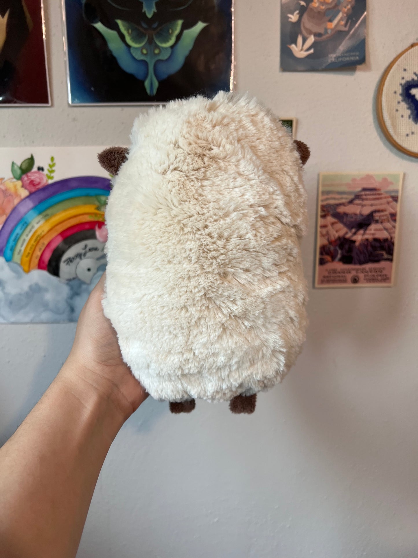 Sandra Sheepie