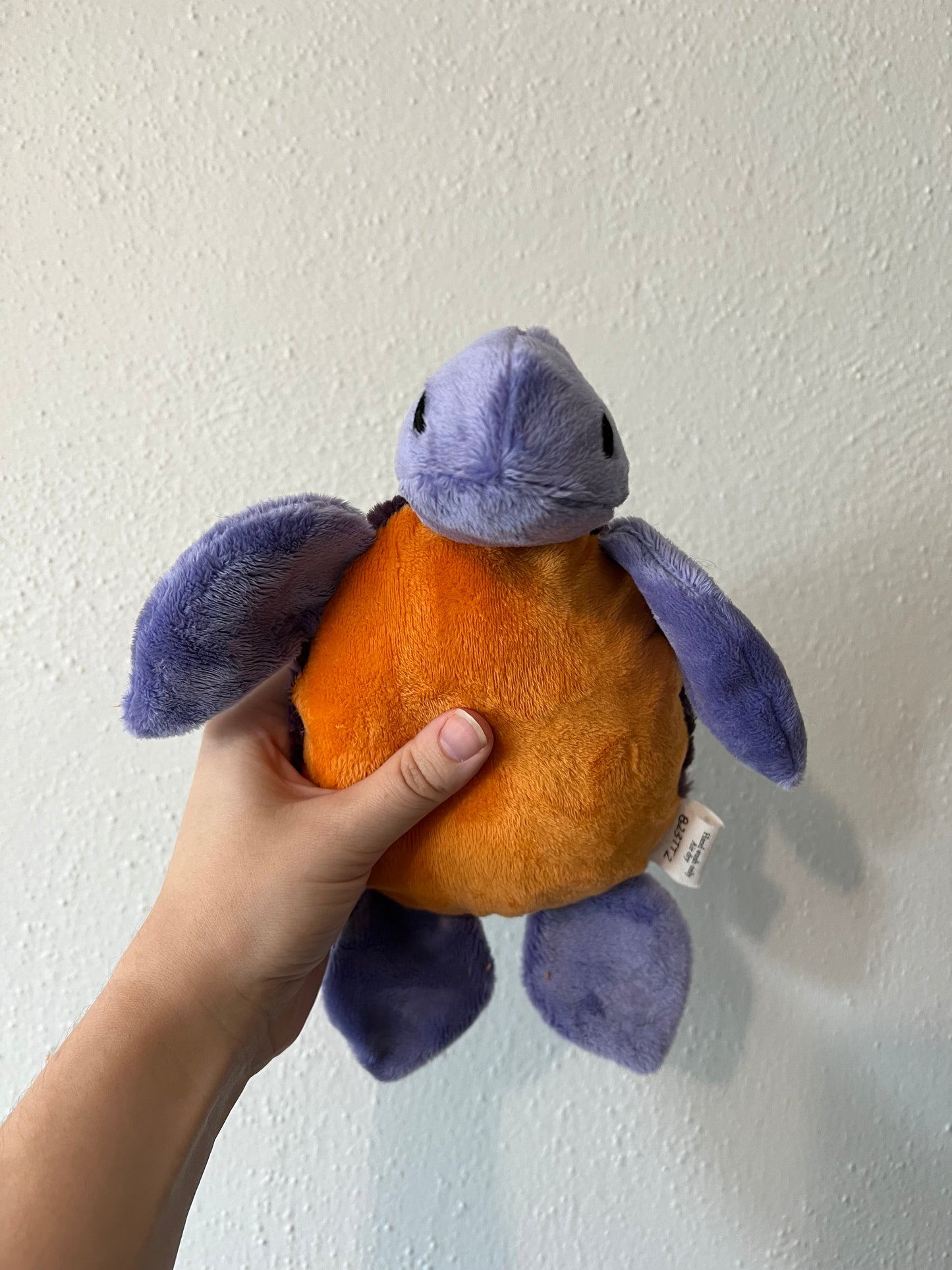 Purple Turtle