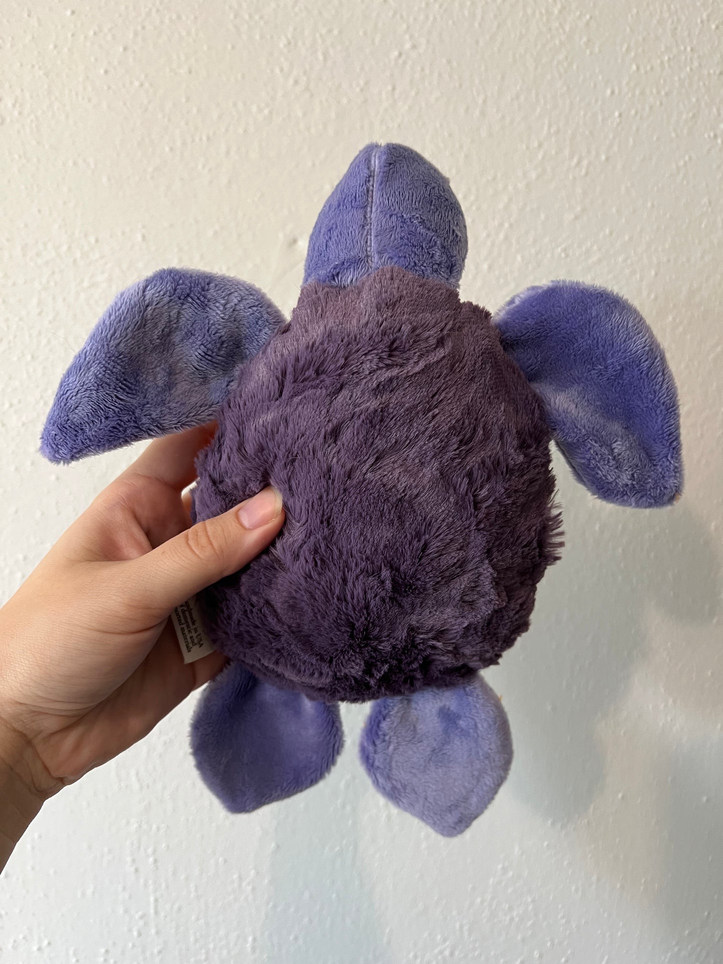 Purple Turtle