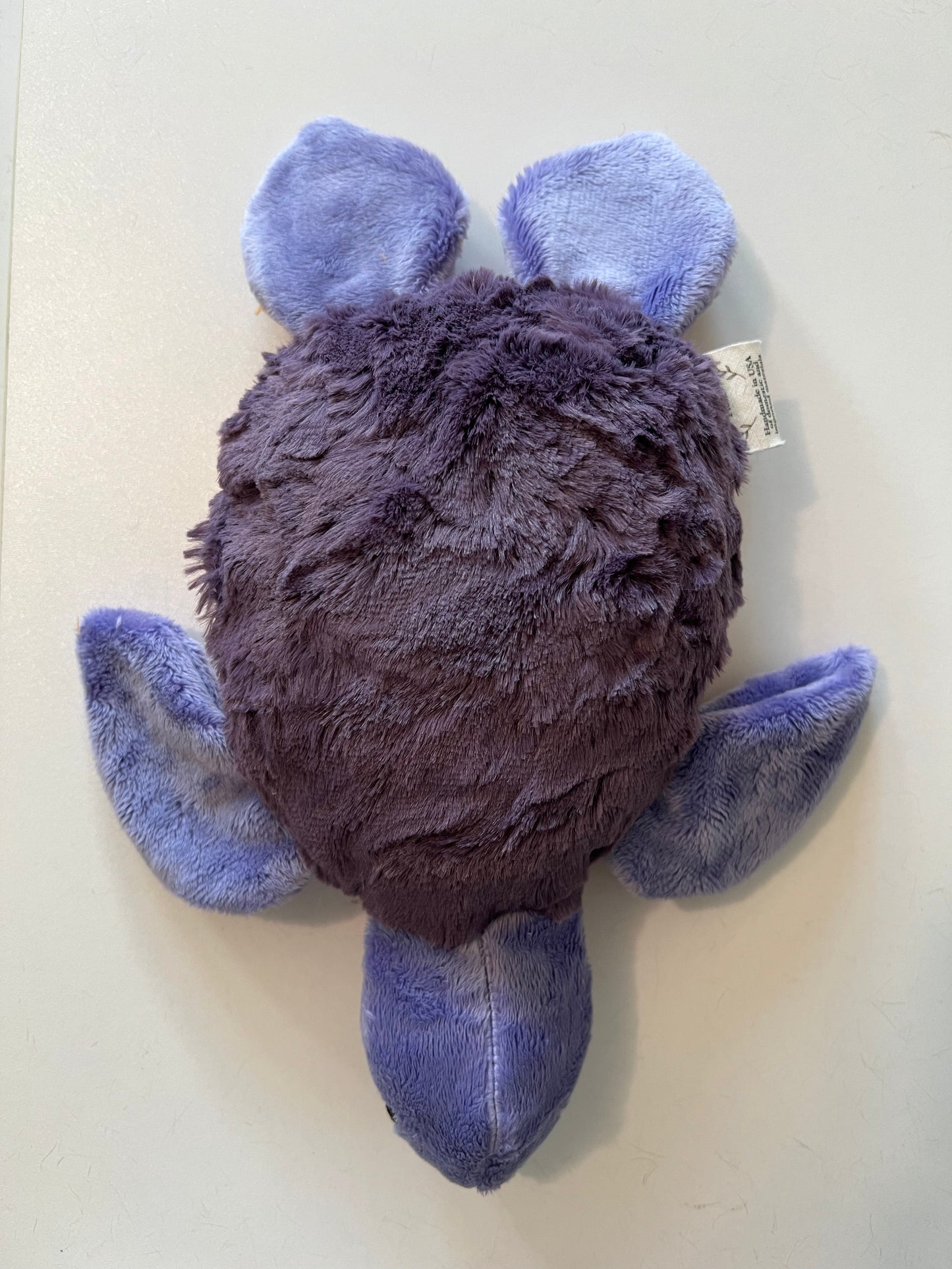 Purple Turtle