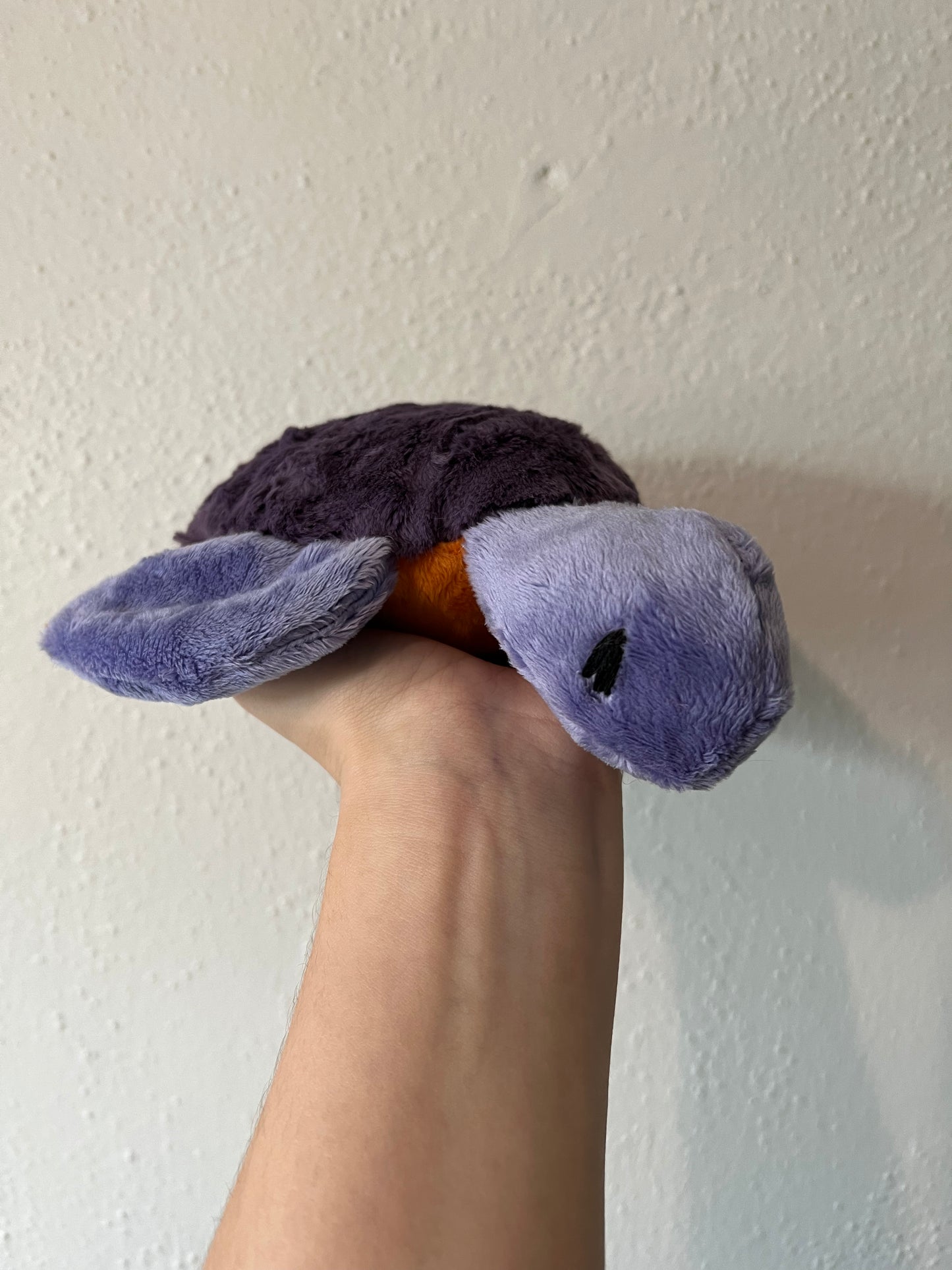 Purple Turtle