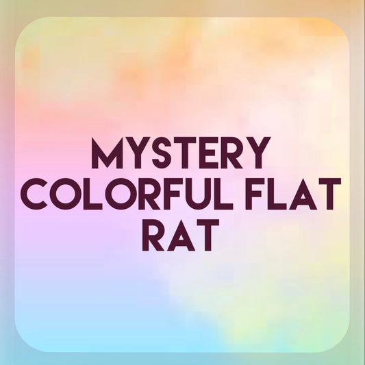 Mystery Colorful Flat Rat Preorder