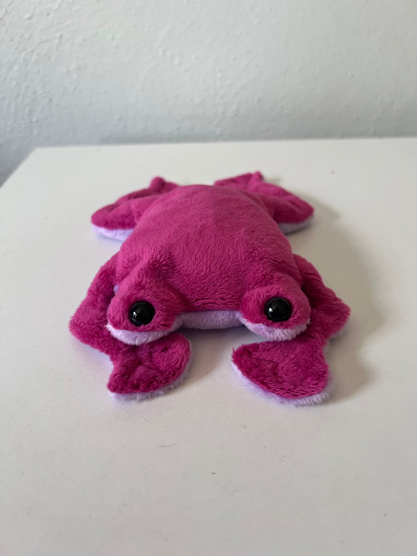 Pink Flat Frog