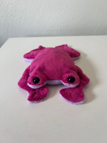 Pink Flat Frog