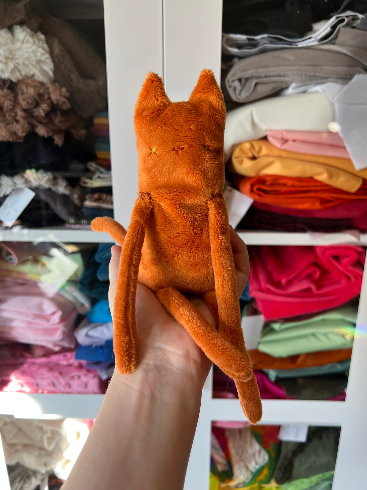 Orange Kitty Long Legs
