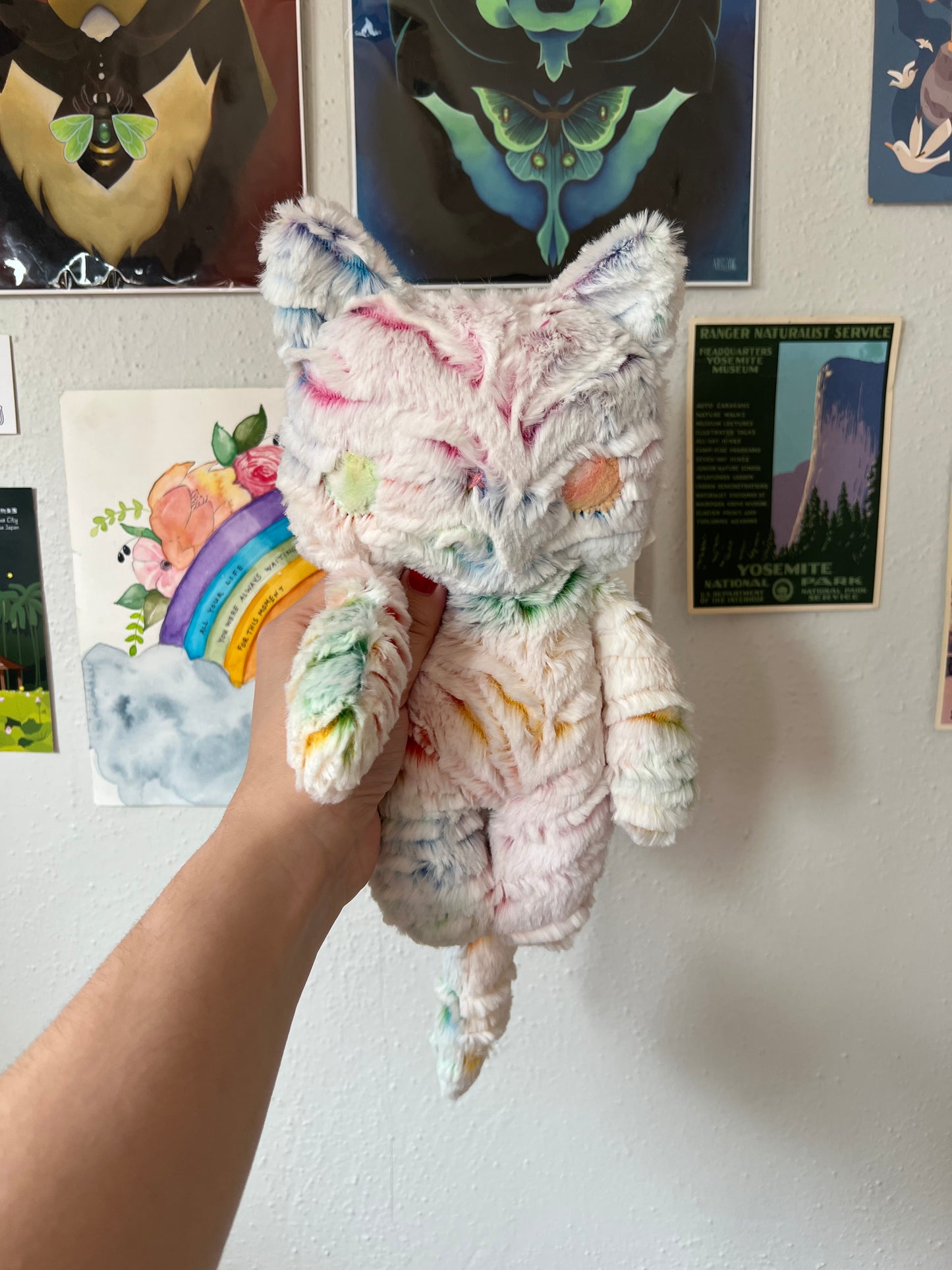 Floppy Cat Prisma