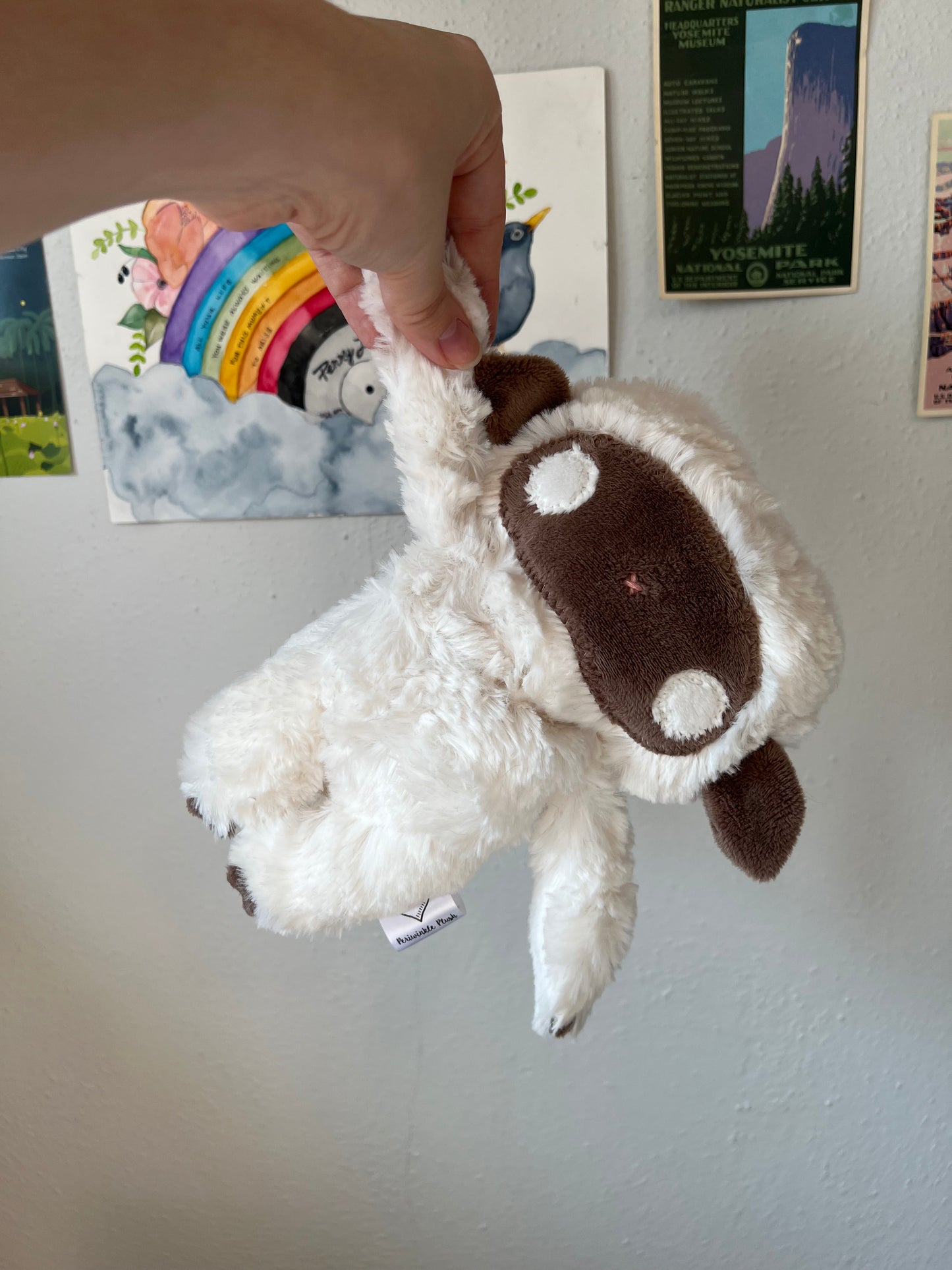 COMING SOON Floppy Lamb Deirdre