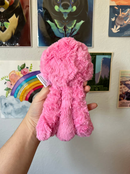 COMING SOON Pink Jelly