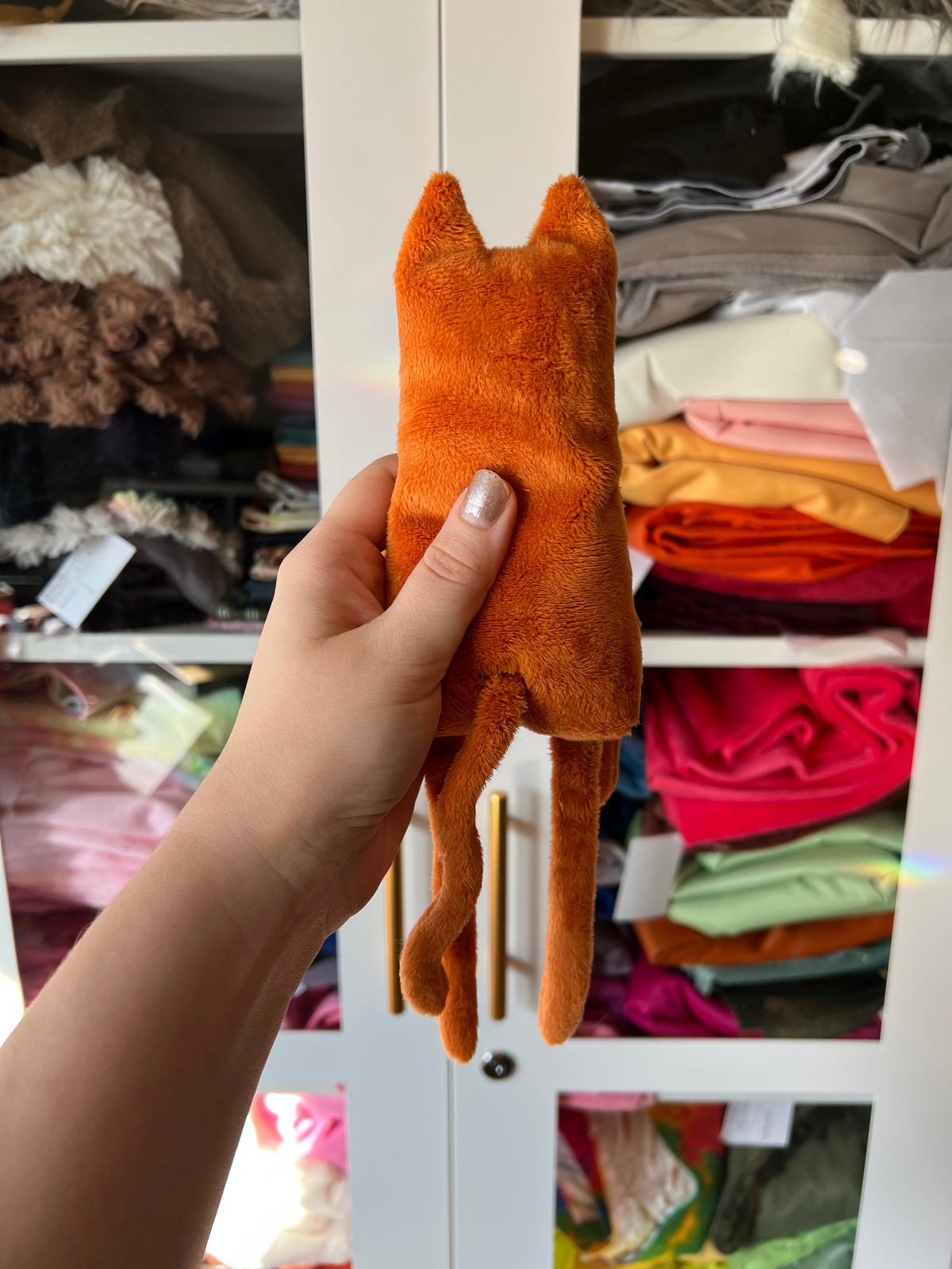 Orange Kitty Long Legs