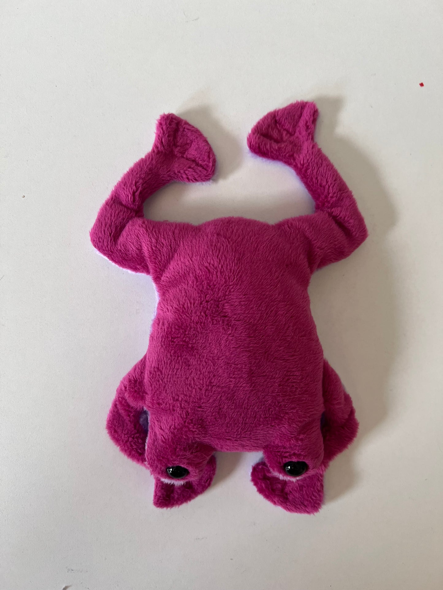 Pink Flat Frog